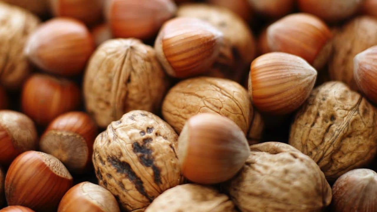 valnotter_hasselnotter